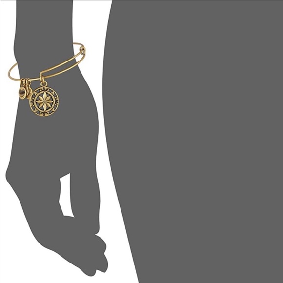 SOLD BuNdLee of 3!! Alex & Ani Charm Bracelets - Picture 9 of 11